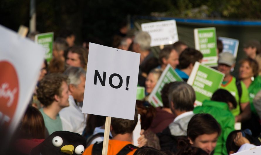 Hvað þýðir að vera „woke“?